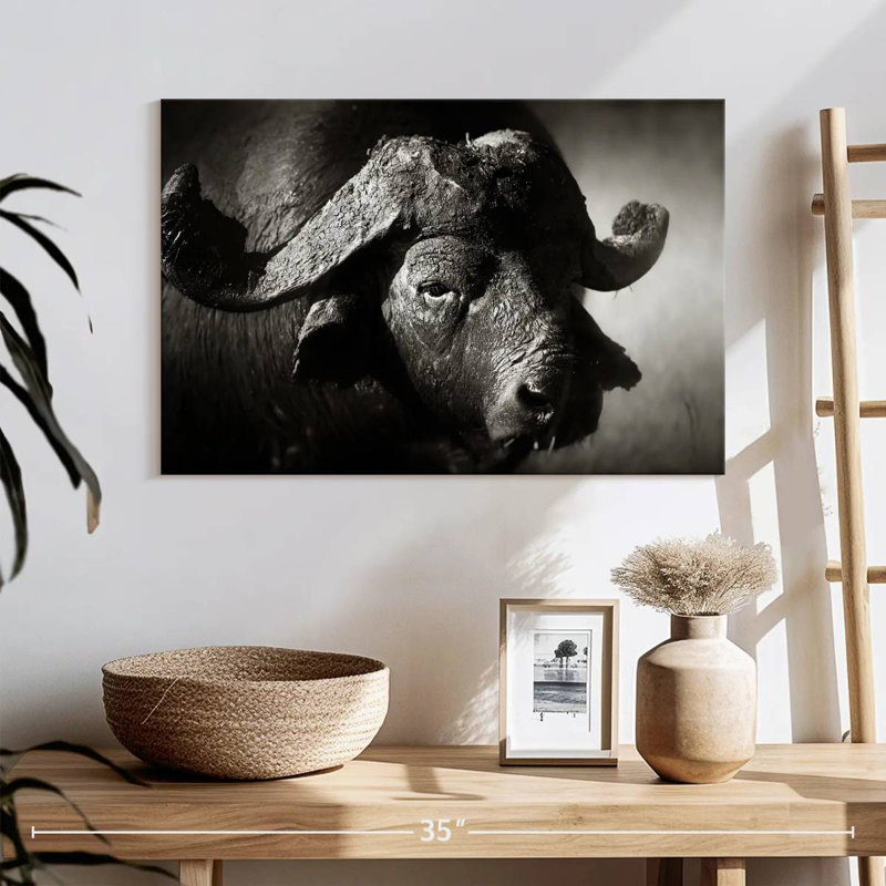 Buffle d'Afrique sauvage Brampt, H 16 po x l 24 po