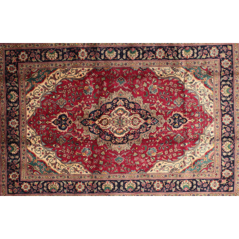 Oriental Indoor Rug, Rectangle 6' x 9'