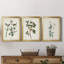 Pl. «153 Yellow-Rump Warbler», ensemble de 3 impressions sur toile encadrées-1577803187-1577803186