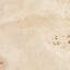 Tuscan Elegance Travertine Coaster Set