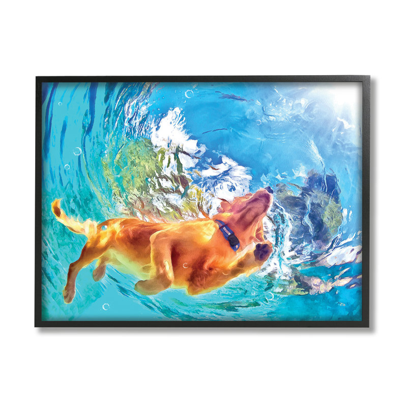 Chien nageant sous l'eau par Masey St. Studios, Giclée encadrée noir minuit, H 11 po x l 14 po x P 1,5 po