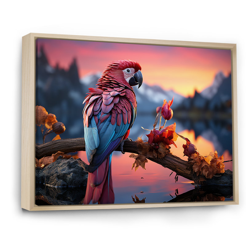 Coucher de soleil rouge et bleu avec plumage radieux au coucher du soleil, Cadre flottant naturel, H 24 po x l 32 po x P 1 po
