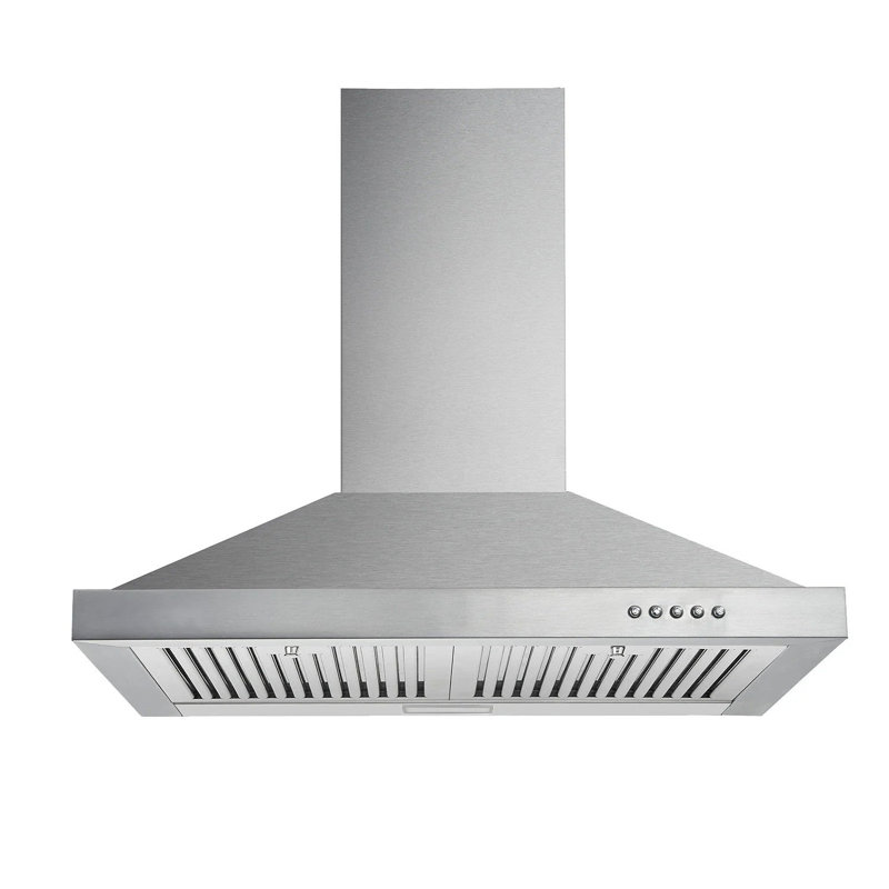 Hotte murale 24 pouces en acier inoxydable
