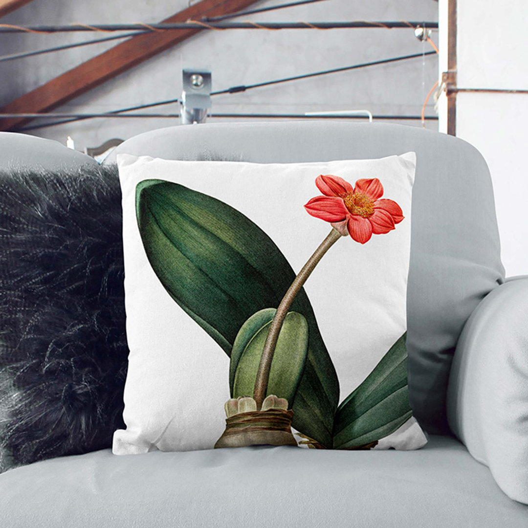 Blood Lily Flower by Pierre-Joseph Redoute Cushion with Filling