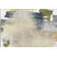 Veiled Dusk 1 Print by Maeve Harris-1129800412
