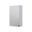 Carra 300mm W 500mm H Surface Frameless Medicine Cabinet Mirror 1 Fixed-1876689637