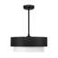 Jeromy 24" 4-Light Fandelier with Remote Control-234014135