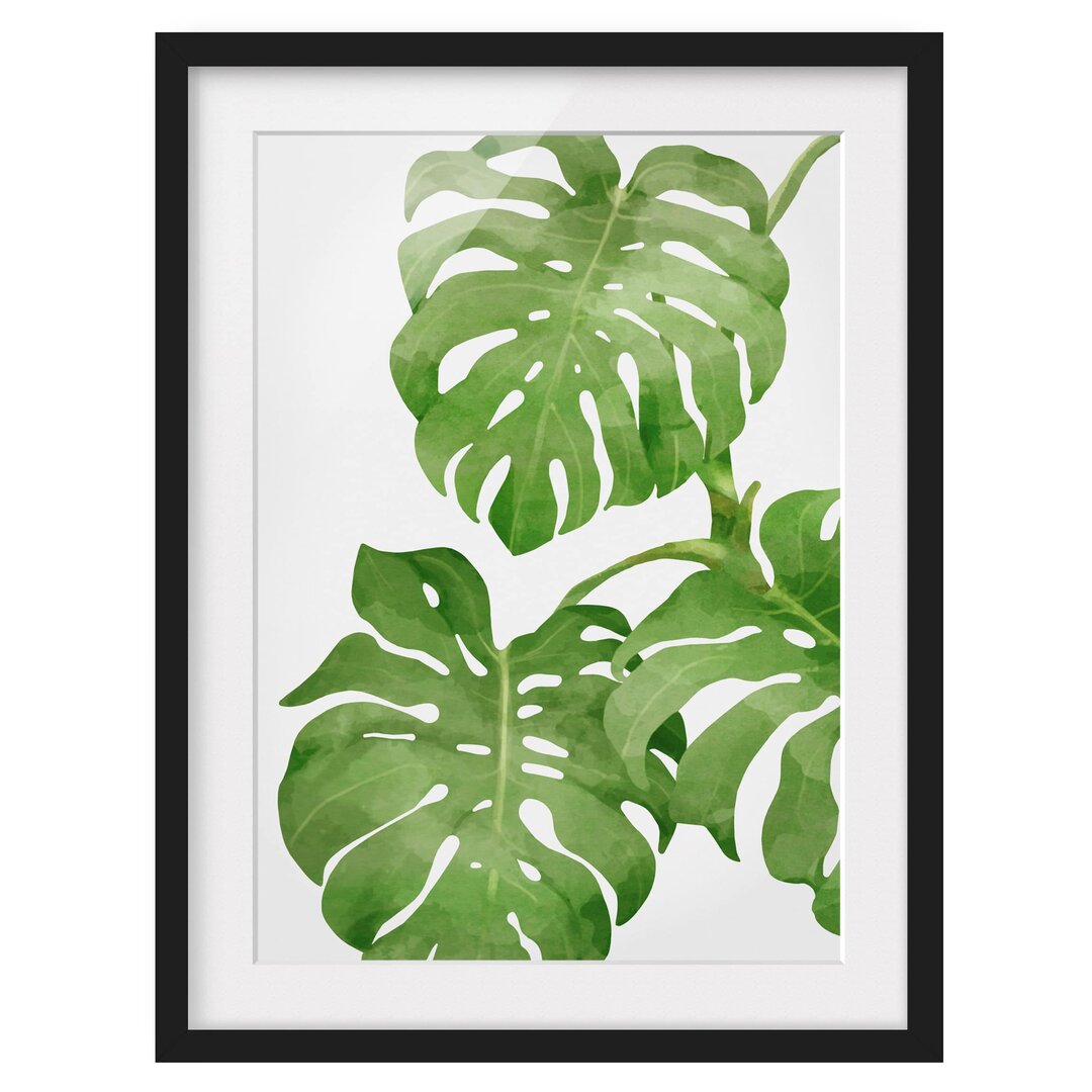 Gerahmtes Poster Monstera Watercolour