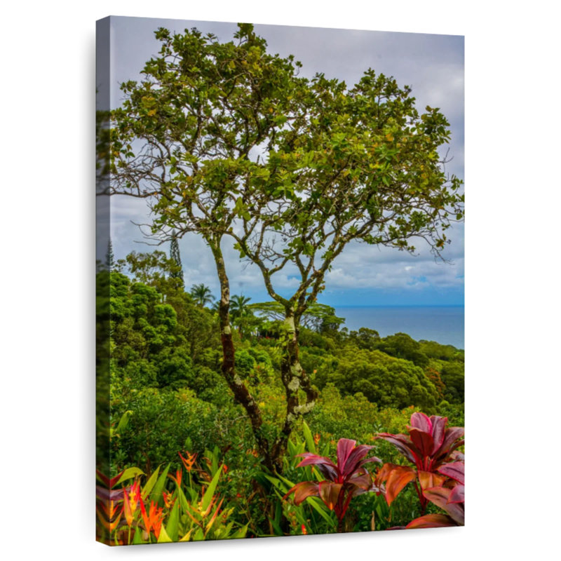 Harnek, Hawaï, arbres tropicaux, H 51 po x l 34 po