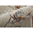 Benedetto Indoor Rug-359044866