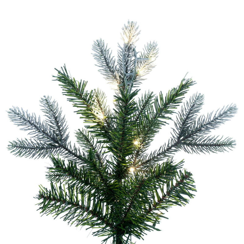 Douglas 12' H Lighted Artificial Fir Christmas Tree