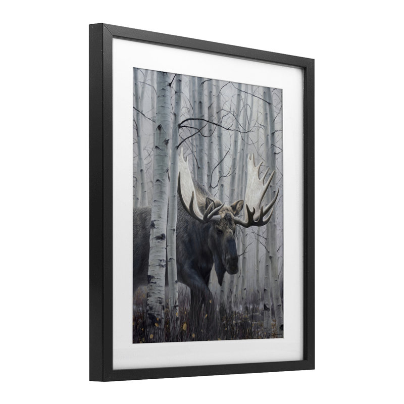 «Moose Peering in Birch Woods», reproduction encadrée sous verre, conception de James Corwin, Cadre noir minuit