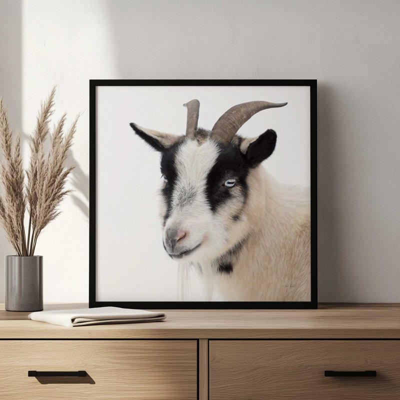 «Pippa The Goat IV» par Deborah Revell, reproduction d'art, H 20 po x l 20 po, Argent argent