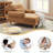 Davene Upholstered Chaise Lounge with Adjustable Backrest-1105410165