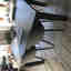 Customer photo 3 of 3