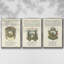 Ensemble de 3 ex-libris imprimés sur toile encadrés I-97706763-97706761