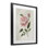 «Rosie Rose Flower Study», reproduction d'art sous verre encadrée par Nan