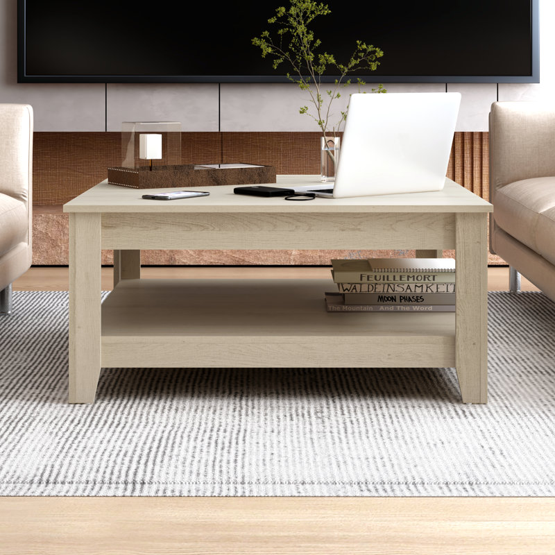 Weddel Basilico Coffee Table with Storage