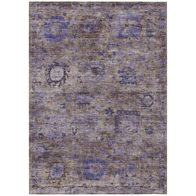 Machine Washable Indoor/Outdoor Chantille ACN2429 Traditional Rug