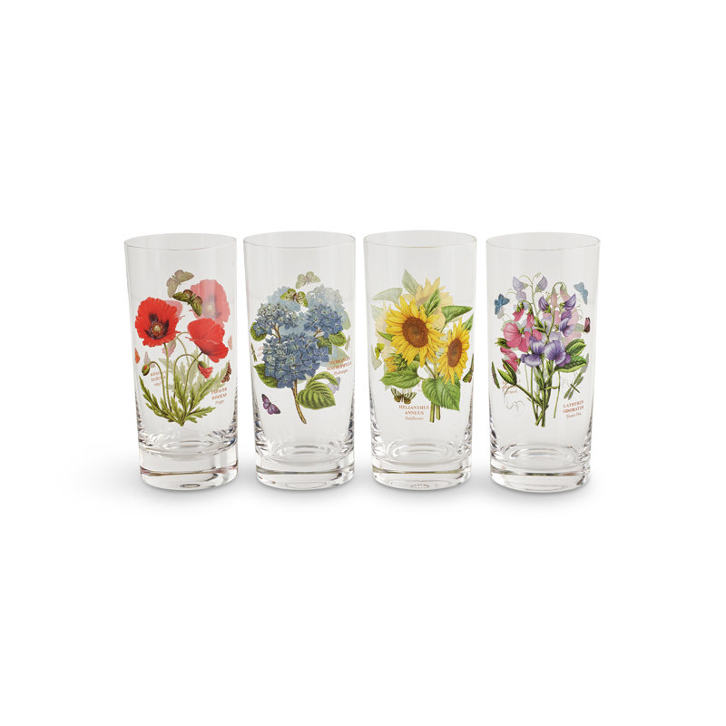 Botanic Garden Multicolor Glass Highball Set, 15 oz, Set of 4