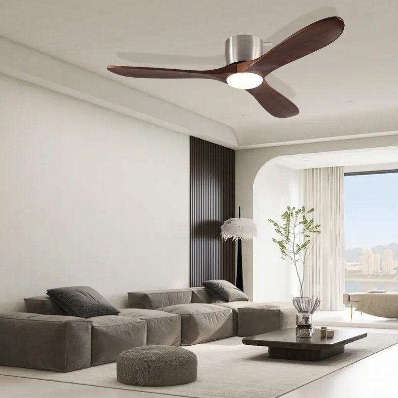 CEILING FANS LIGHT