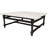 HomeRoots Marble Top Coffee Table