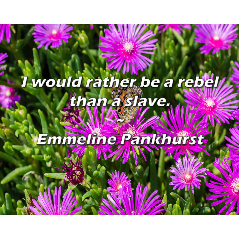 Citation artistique «Je préfèrerais être un rebelle plutôt qu'un». Toile tendue par Emmeline Pankhurst, H 28 po x l 40 po