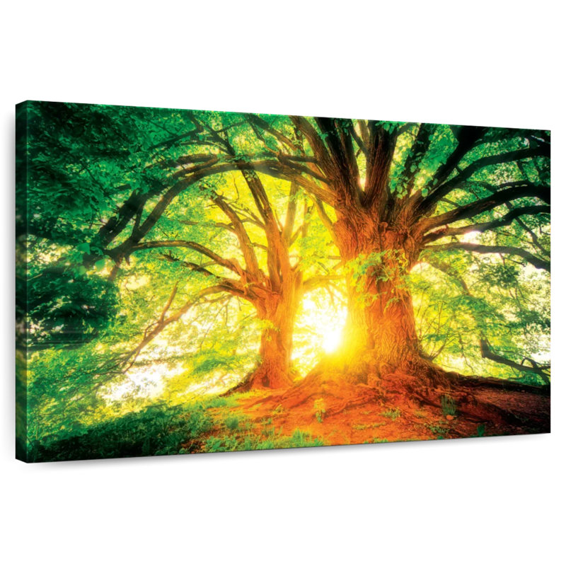 Harnek Old Oak Trees, 30" H x 45" W