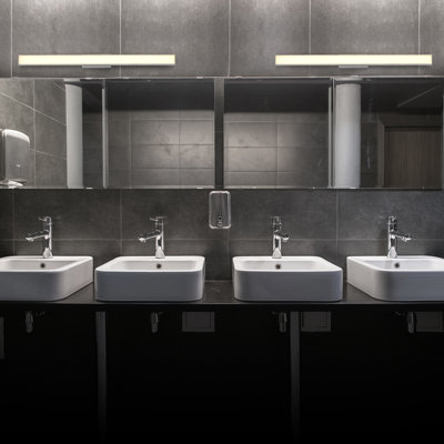Procyon 24" Modern Dimmable LED Vanity Light Silver