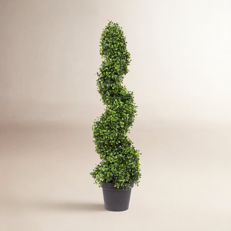 Wolfdale Artificial Potted Green Boxwood Spiral Tree, 36" H x 9" W x 9" D