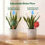 8 Pack Terracotta Self Watering Spikes Plant Automatic Watering Globes