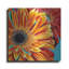 «Color Bursts II» par Carolee Vitaletti-452797997