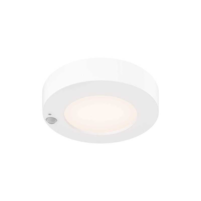 Joylyn Acrylic LED Flush Mount