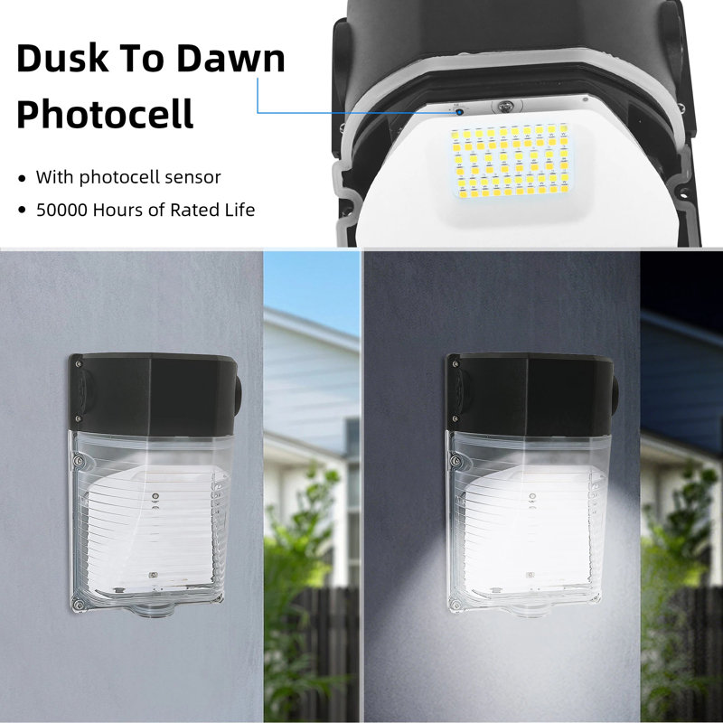 Nicolus LED Wall Light