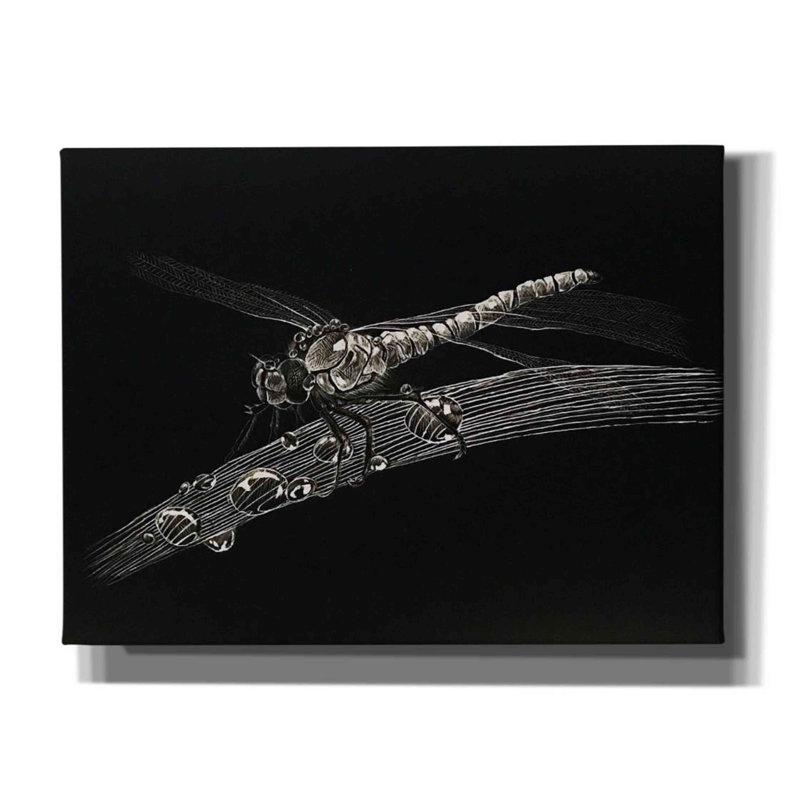 «Dragonfly» par Avery Multers, art mural sur toile, H 12 po x l 16 po x P 0,75 po
