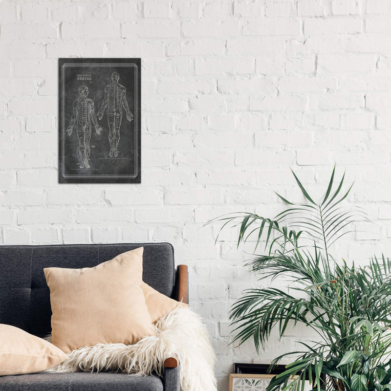 The Spinal Nerves - Wrapped Canvas Print, 66.04 cm H x 45.72 cm W x 1.91 cm D