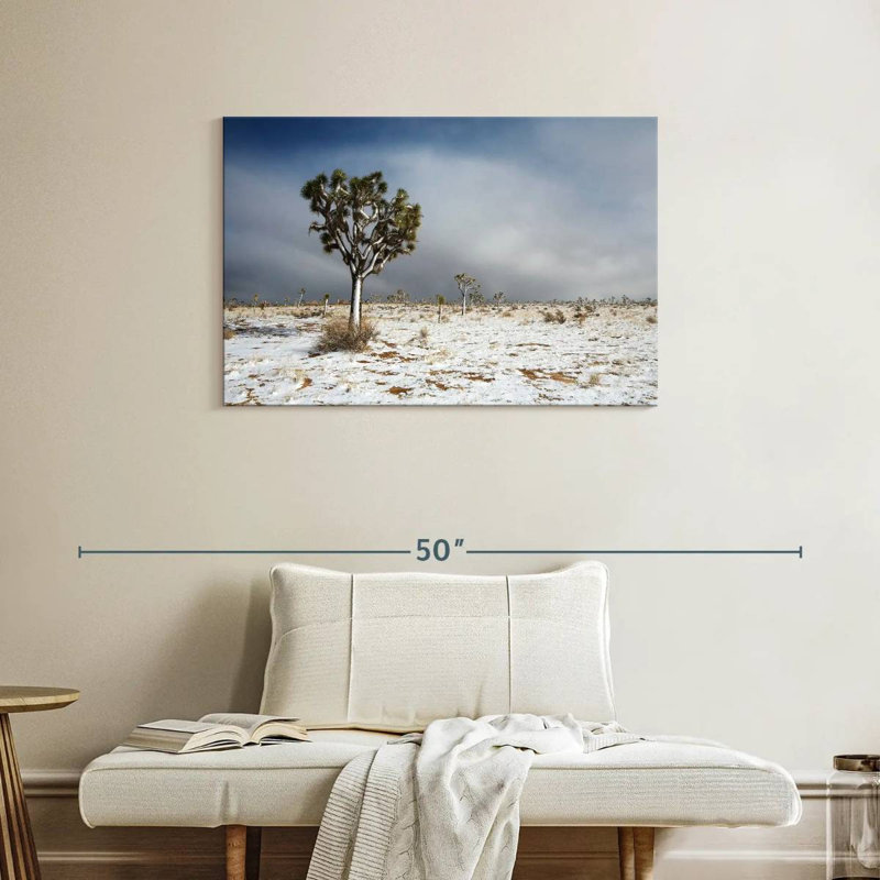 Harnek Snowy Mojave Desert, H 24 po x l 36 po