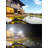 Solar Power Dusk to Dawn Outdoor Security Flood Light with Motion Sensor