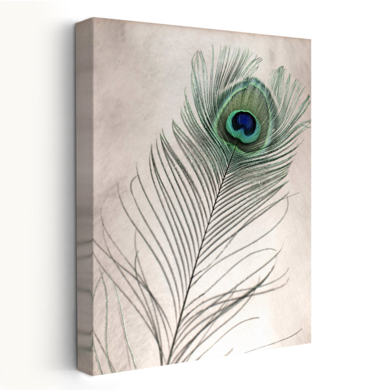 Plumes # 11 - Art photographique, H 24 po x l 16 po