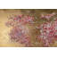 Hand -painted flowering world acrylic painting
