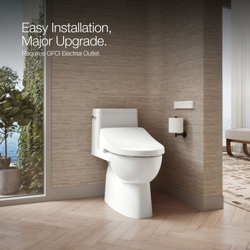 Elongated Bidet Toilet Seat With Remote Control
