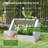 49.25" W x 37.5" D Mini Greenhouse,wood-93618838