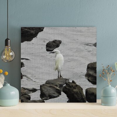 A Little White Stork On A Rock By The Water - 1 Piece Rectangle Graphic Art Print On Wrapped Canvas -  Rosecliff Heights, 27475C3E56B74343A98B1F008FB3EAC2
