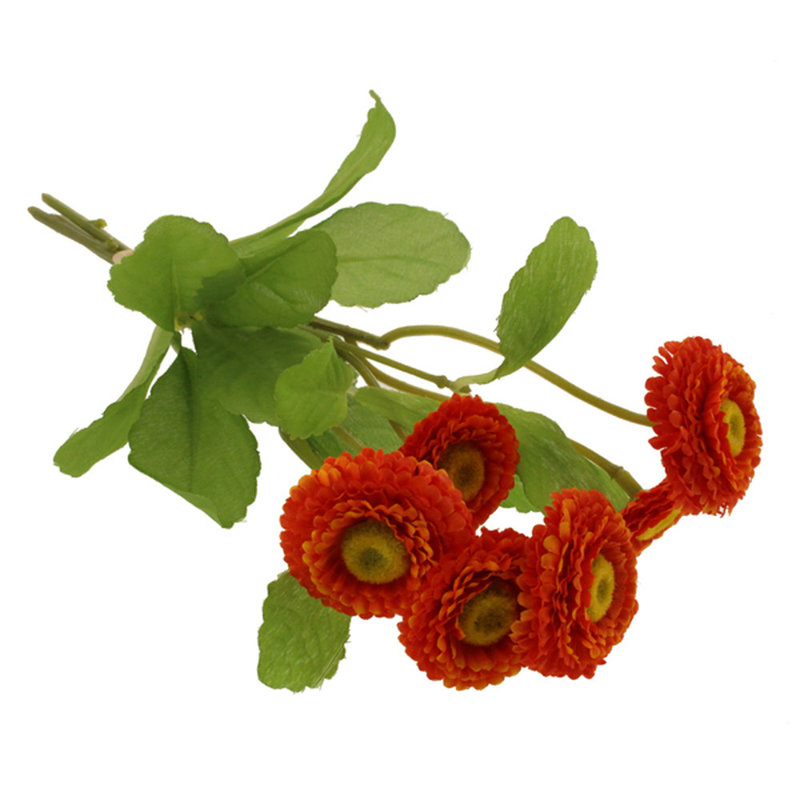 Daisy Arrangement, Red