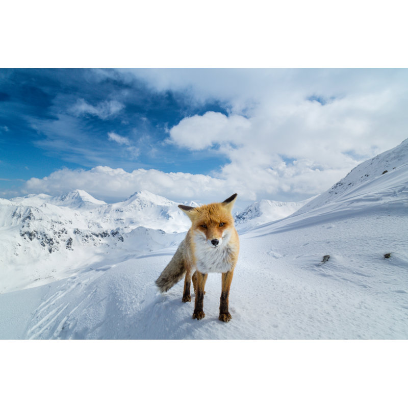 Fox In The Mountains - Wrapped Canvas Print, 81cm H x 122cm W 3.8cm D