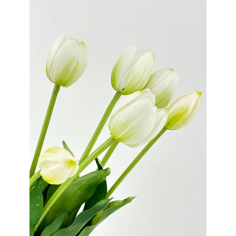 5 vraies tulipes artificielles, Blanc