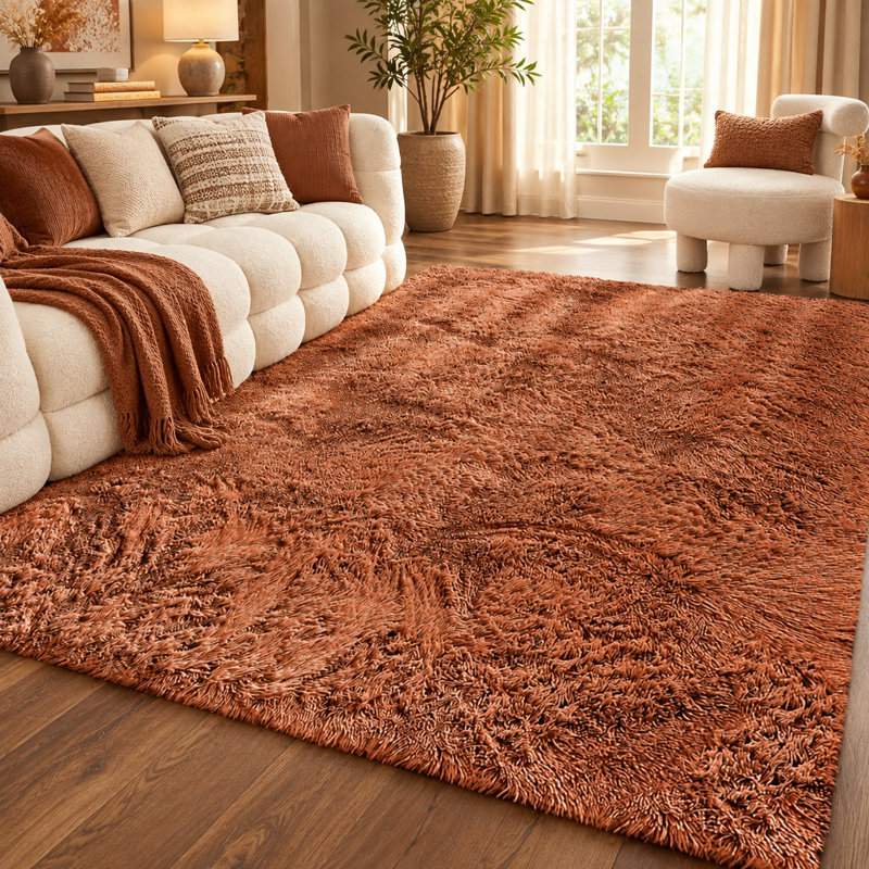 Aspire Homeware Rust Shaggy Area Rug Soft Plush Indoor Carpet, Rectangle 120cm Width X 170cm Length