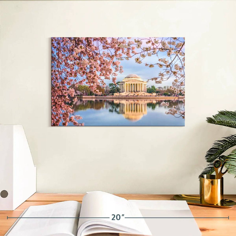 Sireci Washington Cherry Blossoms