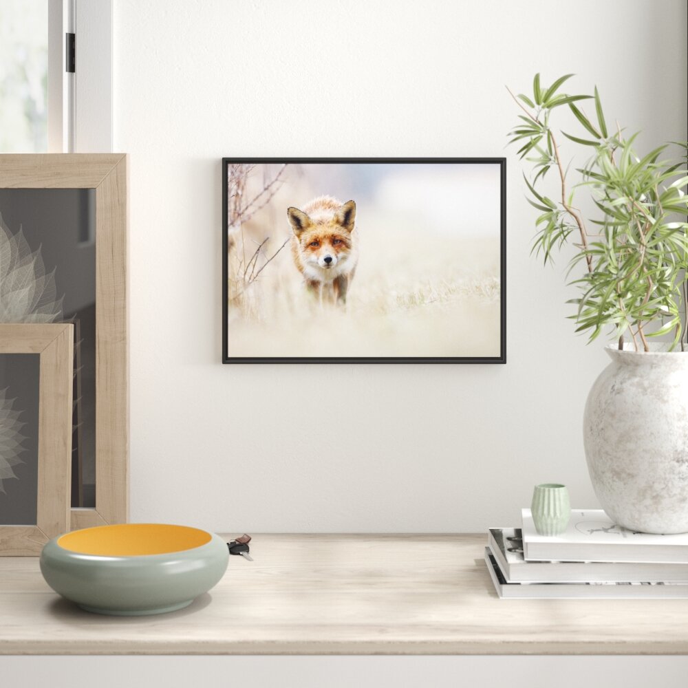 Gerahmtes Wandbild Schleichender fuchs