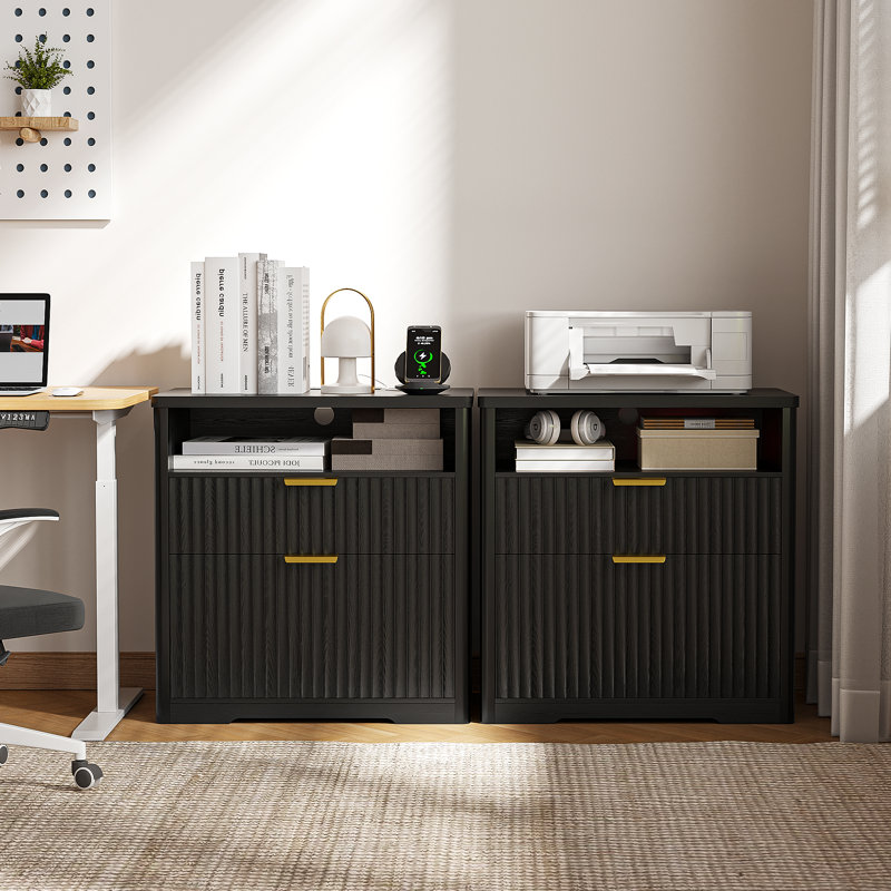 73cm Wide 2 -Drawer File Cabinet, Black
